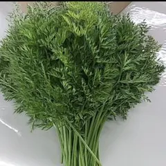 人参葉　人参の葉　葉っぱ　葉 — image 1