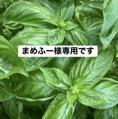 まめふー様専用です。 — image 1