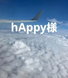 hAppy様 — image 1