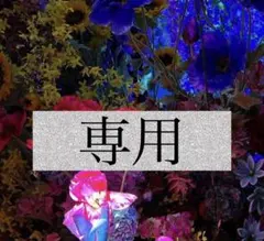 専用です — image 1