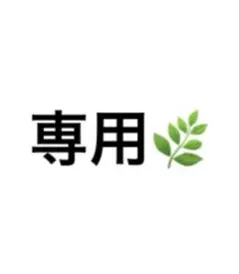 専用 — image 1