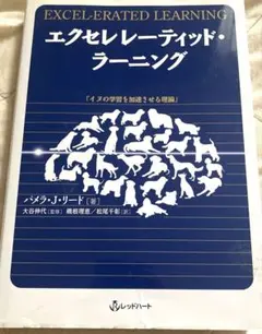 エクセレレーティッド・ラーニング — image 1