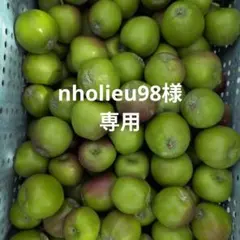 nholieu98様専用 — image 1
