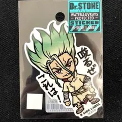 Dr.STONE ドクターストーン 石神千空 ステッカー — image 1