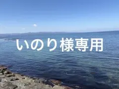 いのり様専用 — image 1