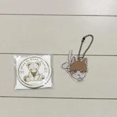 クールドジ男子　二見瞬 — image 1