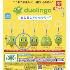 duolingo めじるしアクセサリー — image 1