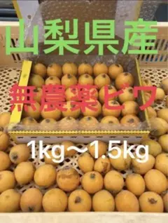 無農薬 ビワ びわ — image 1