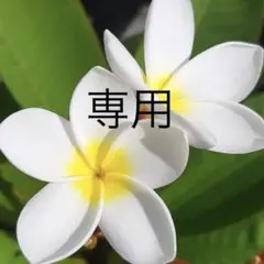 suiyo様専用 — image 1