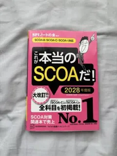 これが本当のSCOAだ! 2028年度版 — image 1
