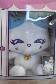 加藤心　cocoro coron おすわりミャイズ　トレカ付き — image 1
