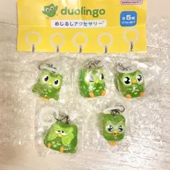 duolingo めじるしアクセサリー 全5種コンプリートセット　ガチャ — image 1