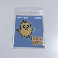 SEVENTEEN セブチ MINITEEN KIMJA ワッペン ミンギュ — image 1