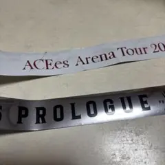 ACEes 銀テ 2本セット まとめ売り — image 1