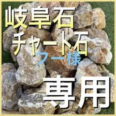 フー様専用① — image 1