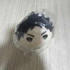 ハイキュー!! もちもちマスコット 岩泉一 — image 1
