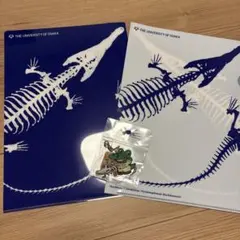 大阪大学 マチカネワニ クリアファイル キーホルダー セット — image 1