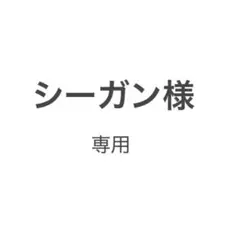 シーガン様　8 — image 1