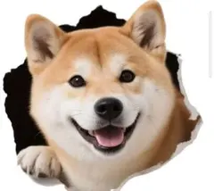 柴犬 ステッカー — image 1