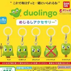 duolingo めじるしアクセサリー セミコンプリート — image 1