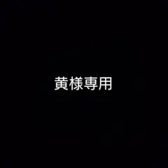 黄様専用 — image 1