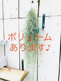 すばる様 リクエスト 2点 まとめ商品 — image 1