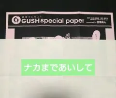 gush　2025年6月号　ナカまであいして百瀬あん　全プレペーパー — image 1