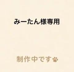 みーたん様専用 — image 1