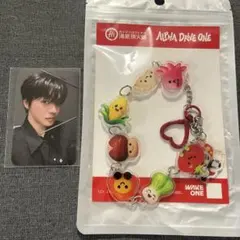 ALD1 リオ トレカ ハイディラオ 海底撈火鍋　第一弾 キーホルダー 匿名配送 — image 1