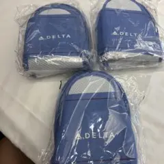 デルタ　携帯用スリッパ　航空会社　3セット — image 1