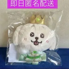 NCT WISH prince wish doll ウィッシュドール ジェヒ — image 1