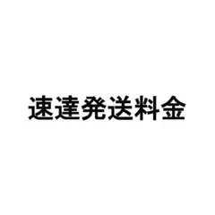 ★日祝発送不可★様【速達発送料金】 — image 1