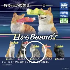 目からBeam 猫 カプセルトイ ガチャ — image 1