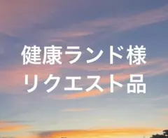 健康ランド様リクエスト品 — image 1
