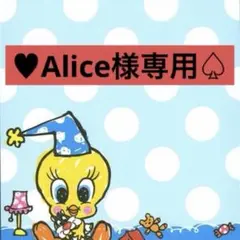 ⚠️ Alice様専用購入ページ⚠️ — image 1