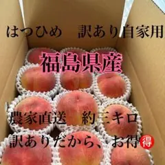 福島の桃 — image 1