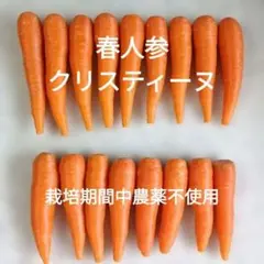 ★栽培期間中農薬不使用★ 人参 クリスティーヌ — image 1