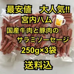 最安値　大人気‼️宮内ハム　国産牛肉と豚肉のサラミソーセージ250g×3袋 — image 1