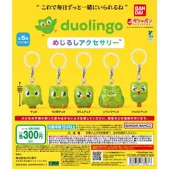 新品【✨duolingo✨】めじるしアクセサリー コンプリート✨（全5種）セット — image 1