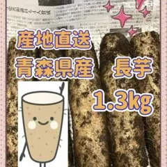 農家直送　青森県産 長芋 スタミナup☆ — image 1