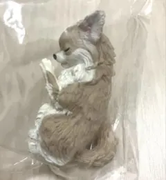 合掌 匠 犬拝　チワワ　ガチャ① — image 1