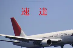 速達便　商品と一緒に購入　（まとめ取引にはカウントされません）個別購入 — image 1