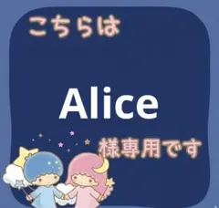 Alice 様専用 — image 1