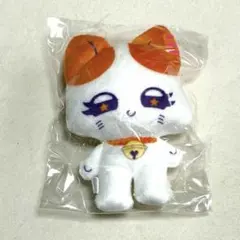 ME:I かぷっこふれんず 海老原鼓 TUZUMI TU:ME — image 1