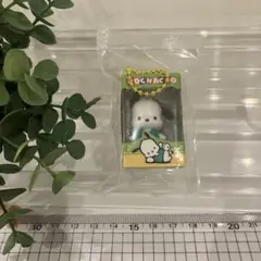 ★未使用★サンリオチョコボックス　ポチャッコ　1点 — image 1
