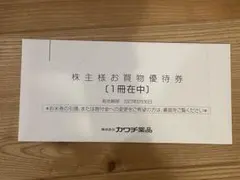 カワチ薬品 株主様お買物優待券 1冊 — image 1