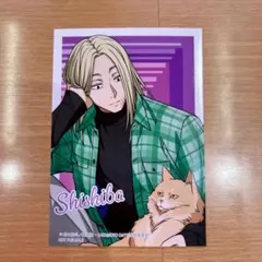 SAKAMOTO DAYS ブロマイド 猫と戯れver.　特典 神々廻 — image 1