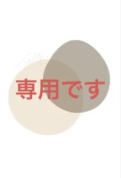 専用 — image 1