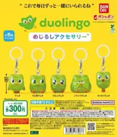 duolingo めじるしアクセサリー 全5種コンプリート — image 1