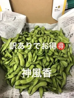 明日朝収穫！発送！茶豆風味の枝豆 — image 1